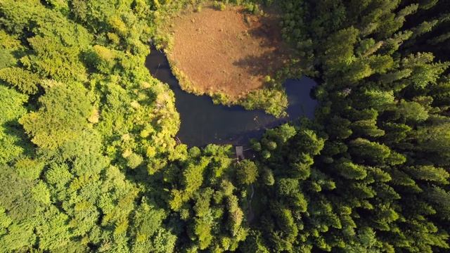 Україна, Карпати, водоспад