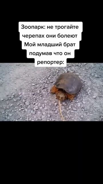 скачать взлом отбеливатель для мыла скачать бесплатно без регистрации и sms смотреть онлайн