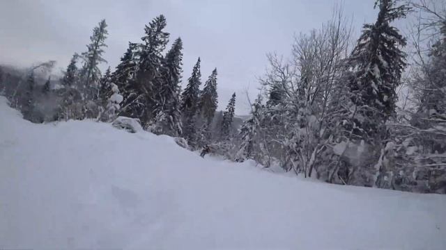 Тростян 20.01.19