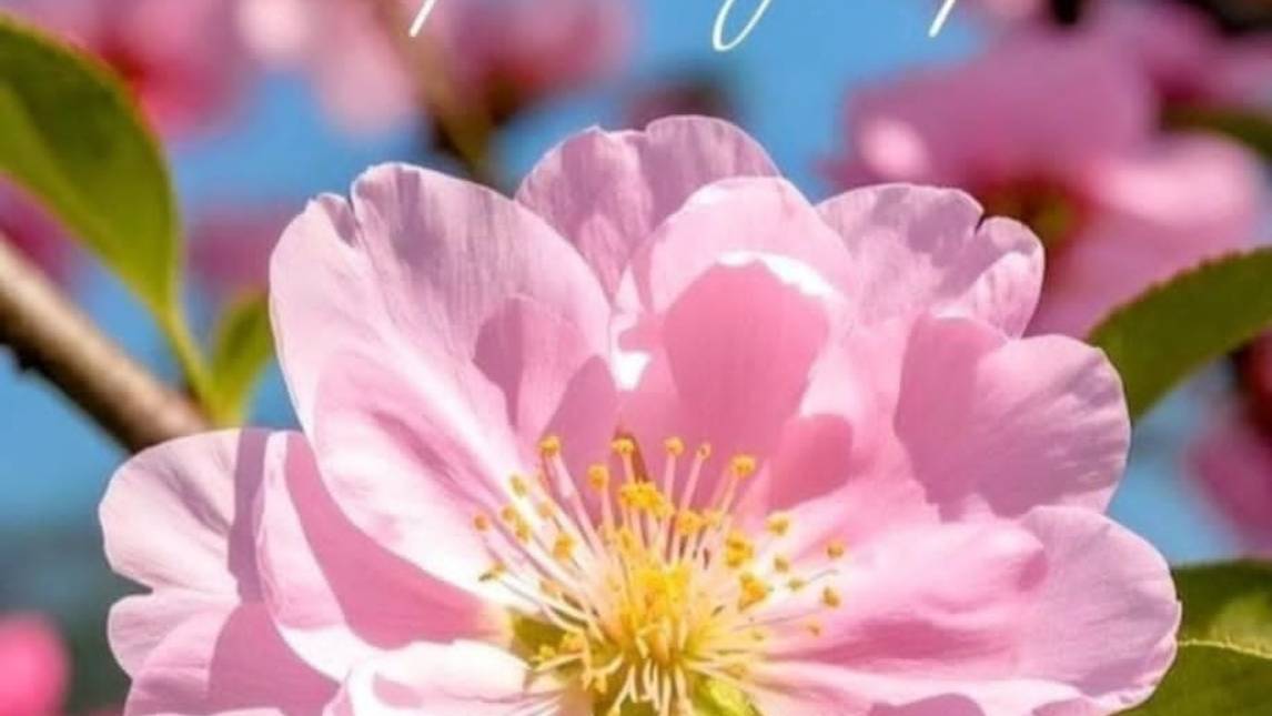 Еду на фитнес.*Прогулка по Москве * Готовим ленивые хачапури. смотреть онлайн