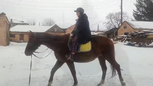 Первый раз в седле | Сразу попробовала скакать рысью смотреть онлайн
