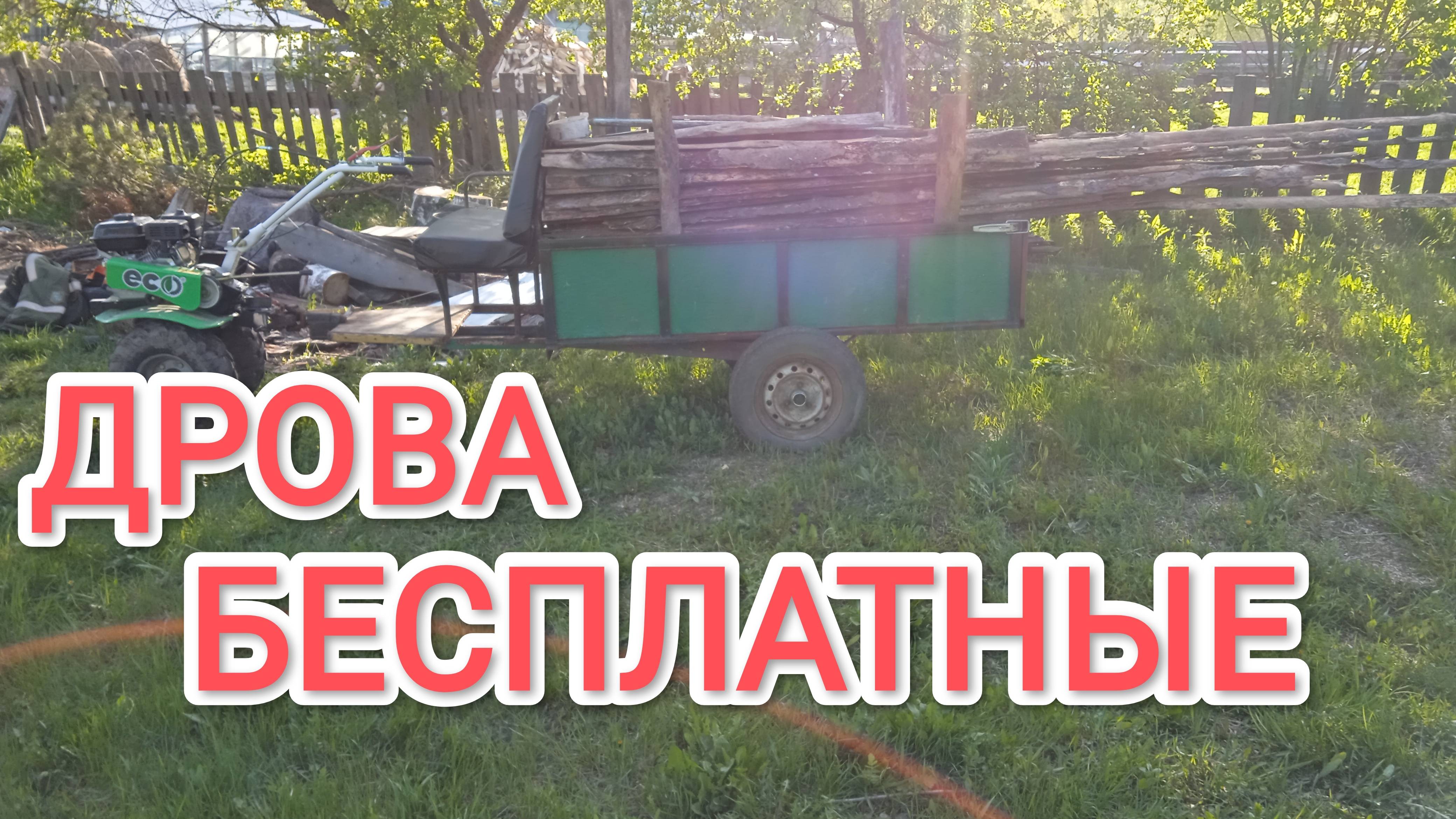 Как взять бесплатные дрова из леса и не нарушить закон полезный лайфхак для деревенских жителей смотреть онлайн