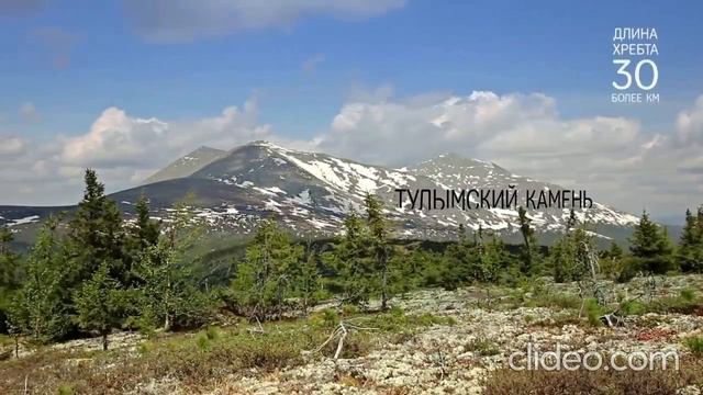 Заповедник Вишерский смотреть онлайн