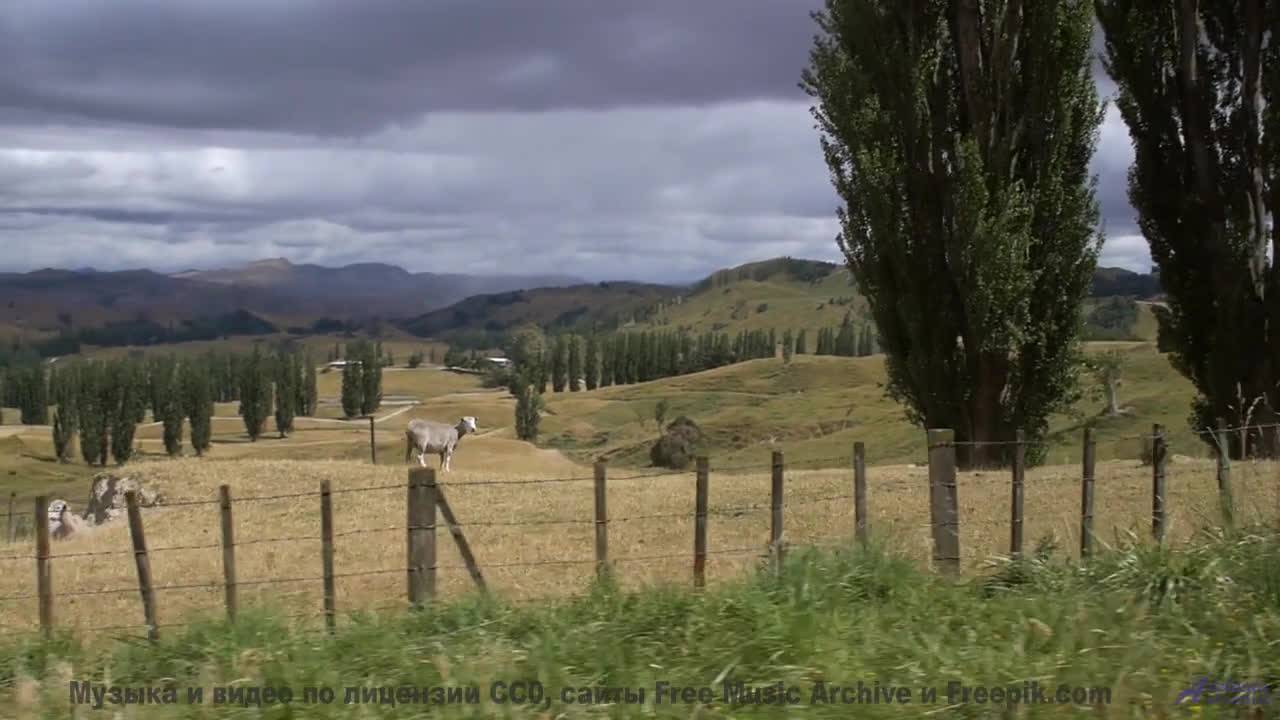 Пусть мир заиграет новыми красками! - Gentlefolk -- Cartouch -- Cartouch