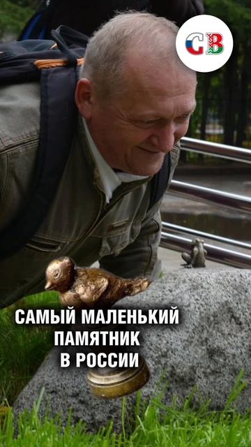 😀 ПАМЯТНИК ЛЯГУШКЕ-ПУТЕШЕСТВЕННИЦЕ #shorts смотреть онлайн