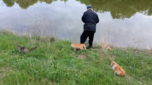 КОТОРЫБАЛКА!Вечер на пруду!