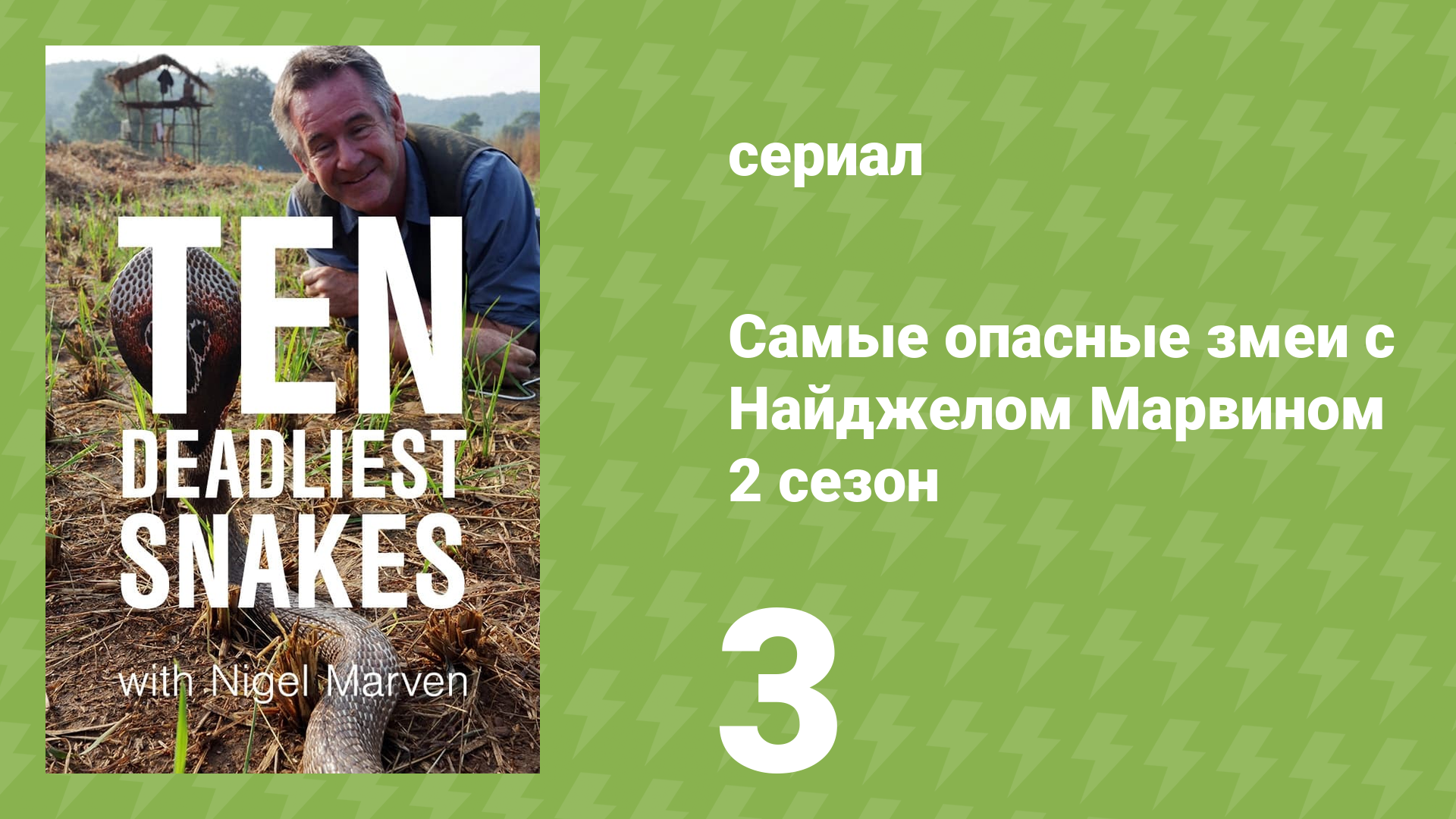 Самые опасные змеи с Найджелом Марвином 2 сезон 3 серия «Индия» (документальный сериал, 2015)