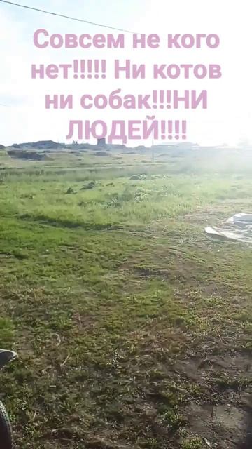 я совсем....одна?