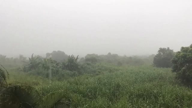 "Снимай трусы" Сказал миллионер и протянул свои жирные смотреть онлайн