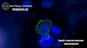 Матрица Гаряева - Борьба с онкологическими заболеваниями. Сокращённая версия. #гаряев