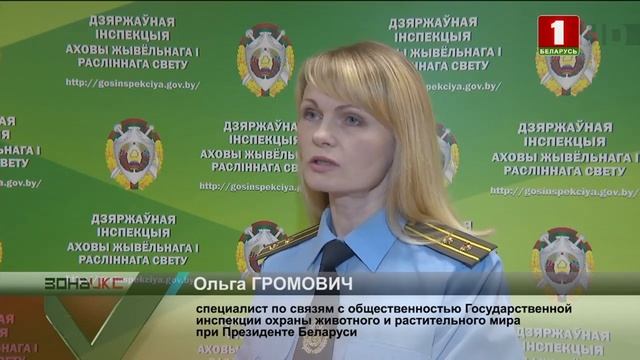 Зона Х 16.10.2019 смотреть онлайн