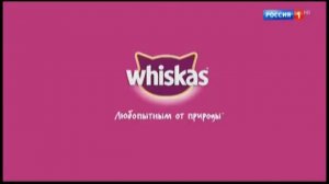 Рекламный блок (Россия-1, 30 08 2017)