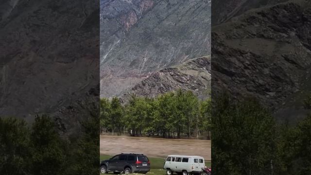 В горном Алтае унесло табун лошадей 15.05.2025