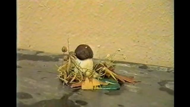 Меланхолия начальной школы УВК №1874 (1997 г.) смотреть онлайн