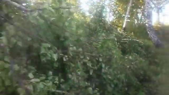 Страшно когда в дом приходит ГОРЕ.. смотреть онлайн