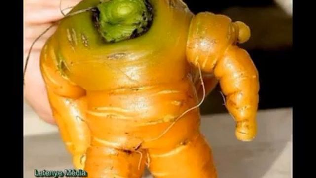 30 октября 2017 г.