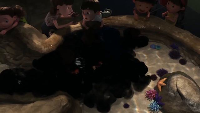 В поисках Дори / Славные Парни Обзор фильма и мультфильма смотреть онлайн