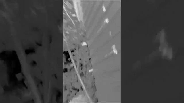 Водяные шарики Мизерный vs Маленький vs Средний vs Большой vs Гигант смотреть онлайн