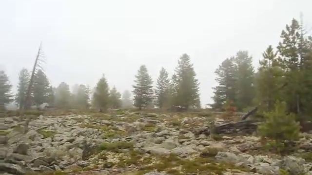туман на перевале 2