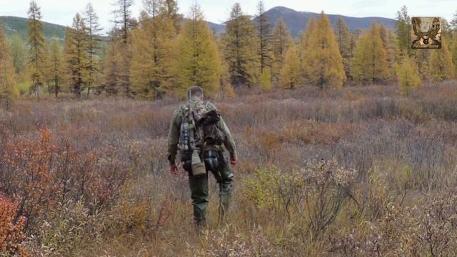 Как не заблудиться на охоте ,советы начинающим охотникам