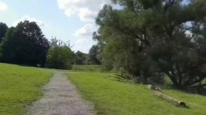 НЕМЦЫ БЫЛИ В ШОКЕ. ЮЛЯ СТАР. ОБЗОР.