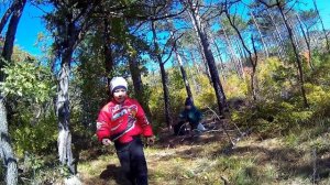 в лес с детьми