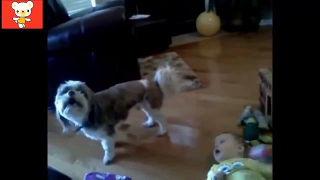 Приколы дети и животные Усатые няни смотреть онлайн