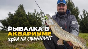 Рыбалка в Аквариуме Щука на Спиннинг Силикон и Вертушки