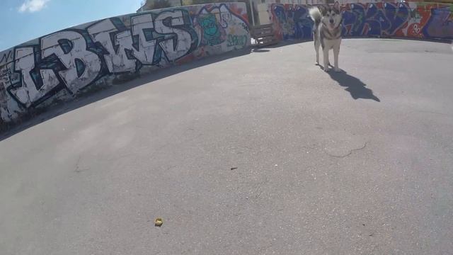 это же крышечка !!!