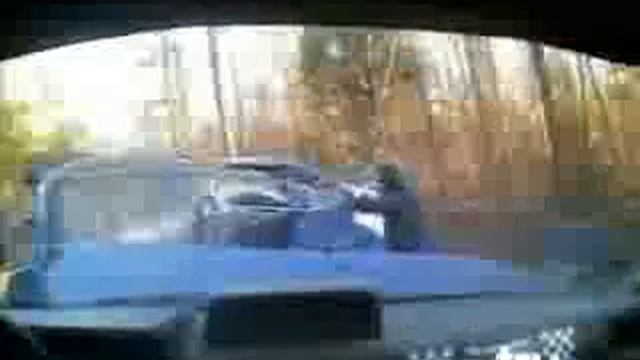 Приколы лузеров супер-пупер видео оленей смотреть онлайн
