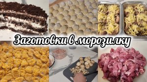 Часть 2. Упрощаю себе жизнь -  заготавливаю домашние полуфабрикаты в морозилку 🍖