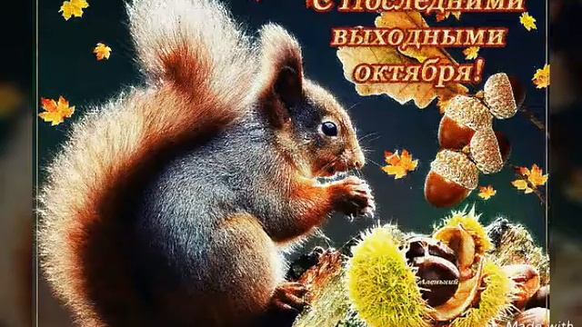 Счастья тебе,много,много！ смотреть онлайн