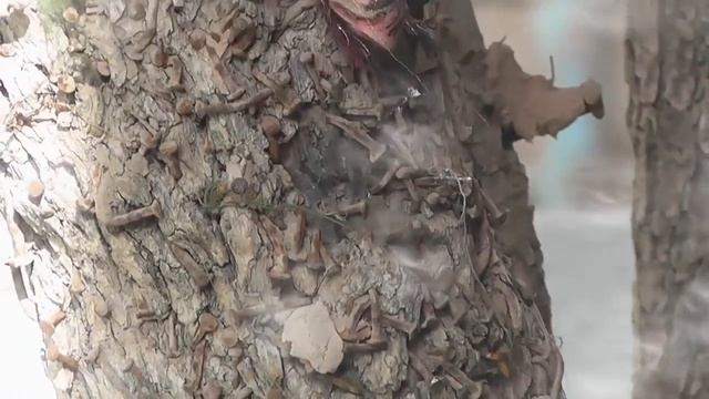 Буса кардан Кабр Лесидани Кабр Хокашро хурдан чи Фоида дорад Бадаз Мурдан?