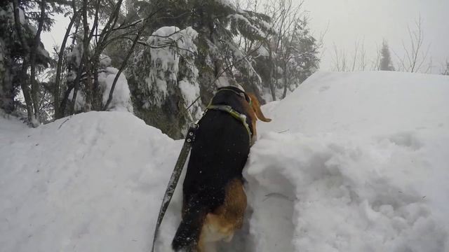 Парашка 2017 смотреть онлайн