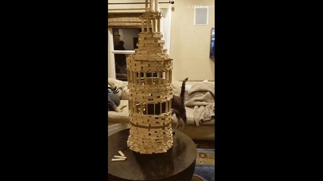 ЛУЧШИЕ ПРИКОЛЫ 2019 СМЕШНЫЕ ЖИВОТНЫЕ КОТЫ СОБАКИ Я РЖАЛ ПОЛ ЧАСА смотреть онлайн