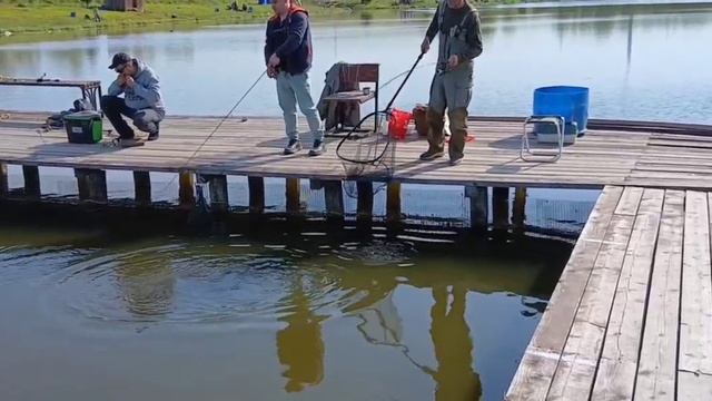 16-05-2025 смотреть онлайн