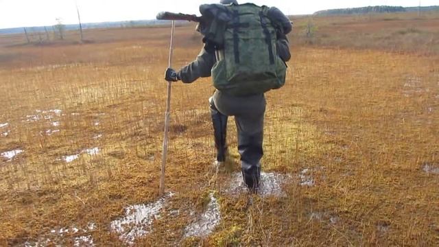 Переход с гривы на гриву через болото!!! смотреть онлайн