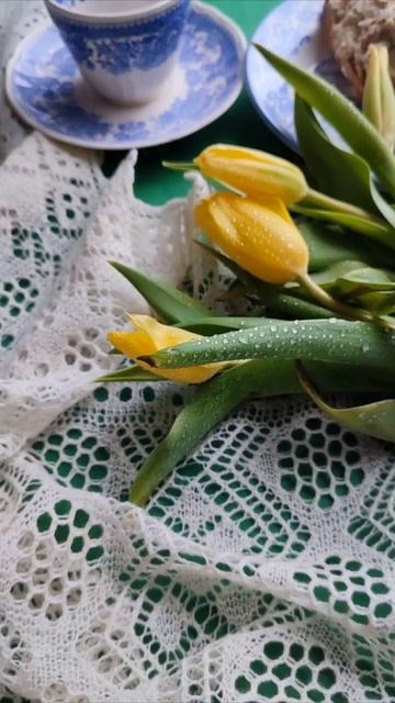 книга по вязанию "Пензенский ажурный платок" #вязание смотреть онлайн