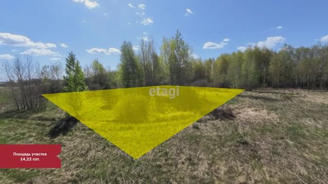 5 1098638 смотреть онлайн