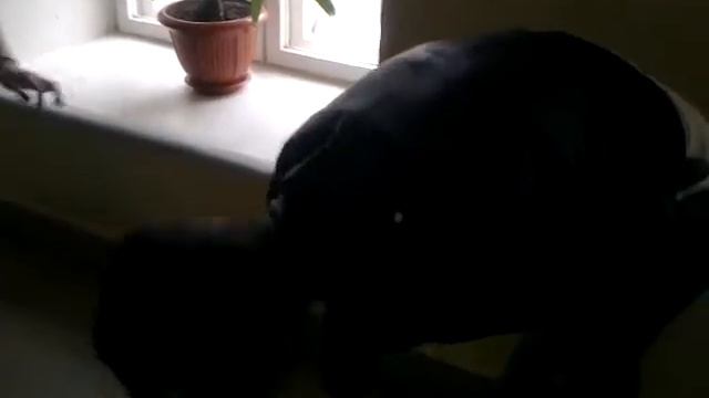 Катя и Жанна рабочий народ!