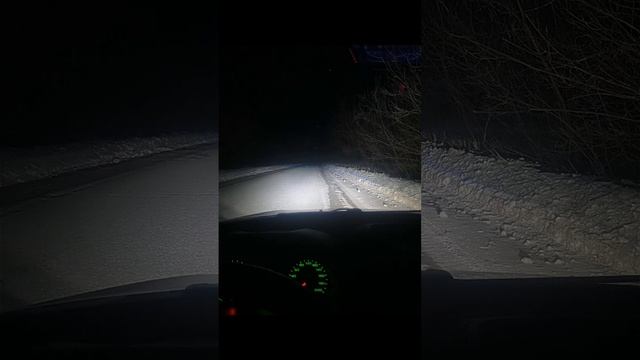 фото отчёт по гранте