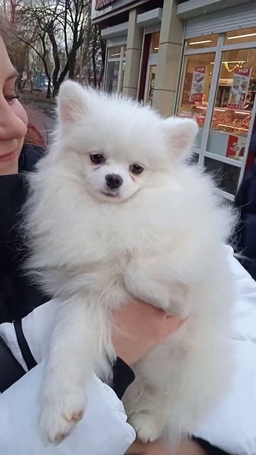 5 января 2024 г.  Снежка!👍