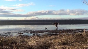 Весенняя охота на селезня с подсадной уткой. 2025г. / БЫСТРАЯ ОХОТА