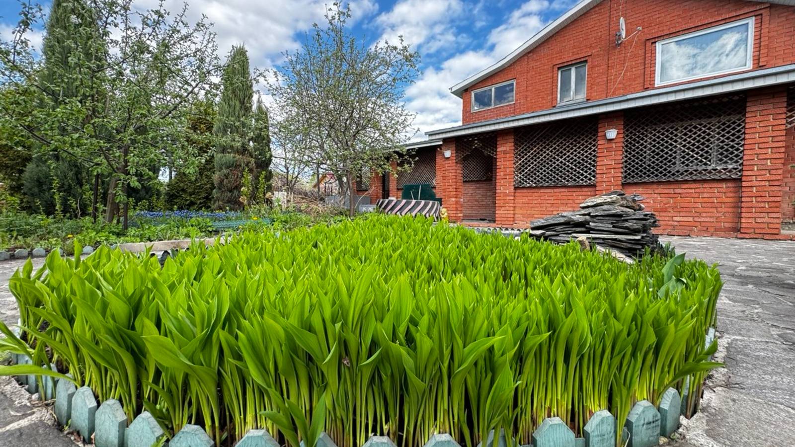 Любитель май 2025