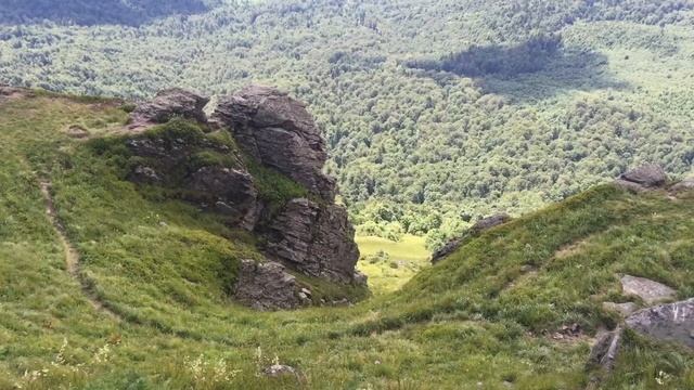 2 декабря 2017 г.