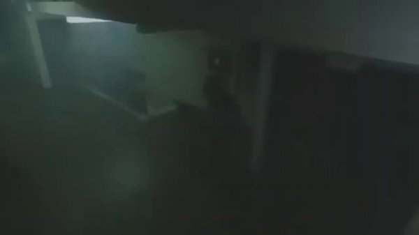 ХИЩНИКИ ФИЛЬМ 2021 СМОТРЕТЬ ОНЛАЙН В ХОРОШЕМ КАЧЕСТВЕ ПОЛНОСТЬЮ