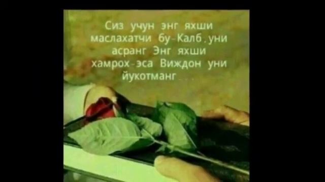 18 сентября 2021 г. смотреть онлайн