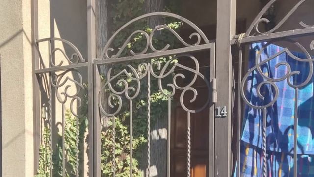 Ялтинские коты!! смотреть онлайн