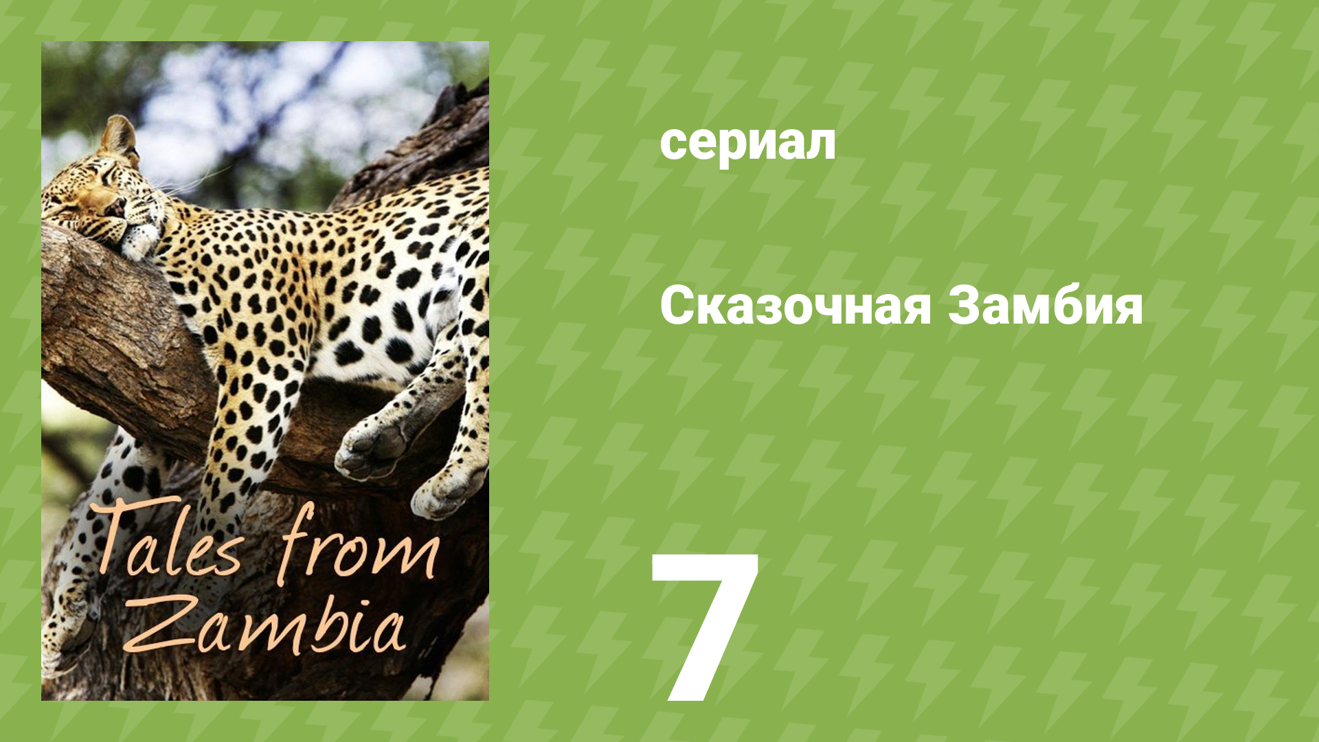 Сказочная Замбия 1 сезон 7 серия «Дикая паутина» (документальный сериал, 2016)