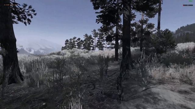 ❤ STREAM: DayZ Неудержимые ДОБИТЬ ANOMALSK PVP смотреть онлайн